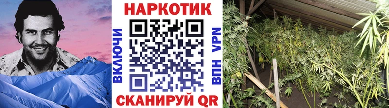 Как найти наркотики Светлогорск A-PVP Галлюциногенные грибы АМФЕТАМИН Канабис hydra ссылка ГЕРОИН Cocaine МЕФ ГАШ