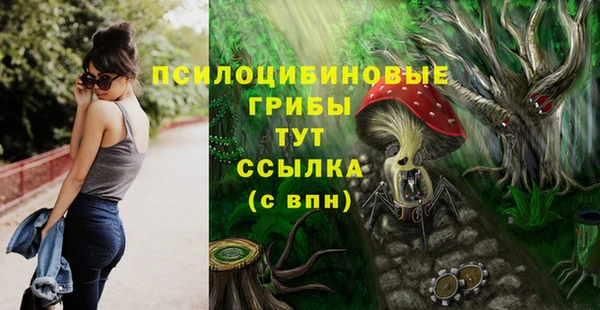 амф Белокуриха