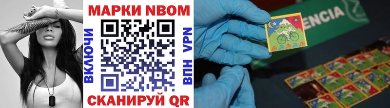 ссылка на мегу как войти  Светлогорск  Наркотические марки 1,5мг  наркошоп 
