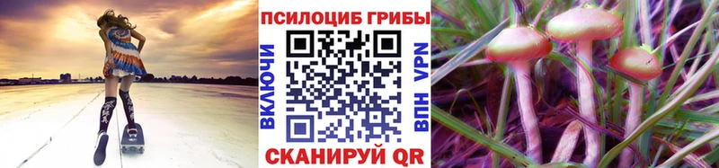 гидра ссылки Светлогорск Галлюциногенные грибы ЛСД где купить наркоту