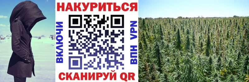 Бошки марихуана SATIVA & INDICA цена наркотик Светлогорск